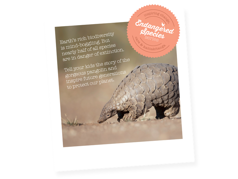 Wishbone Original 3-in-1 Balance Bike