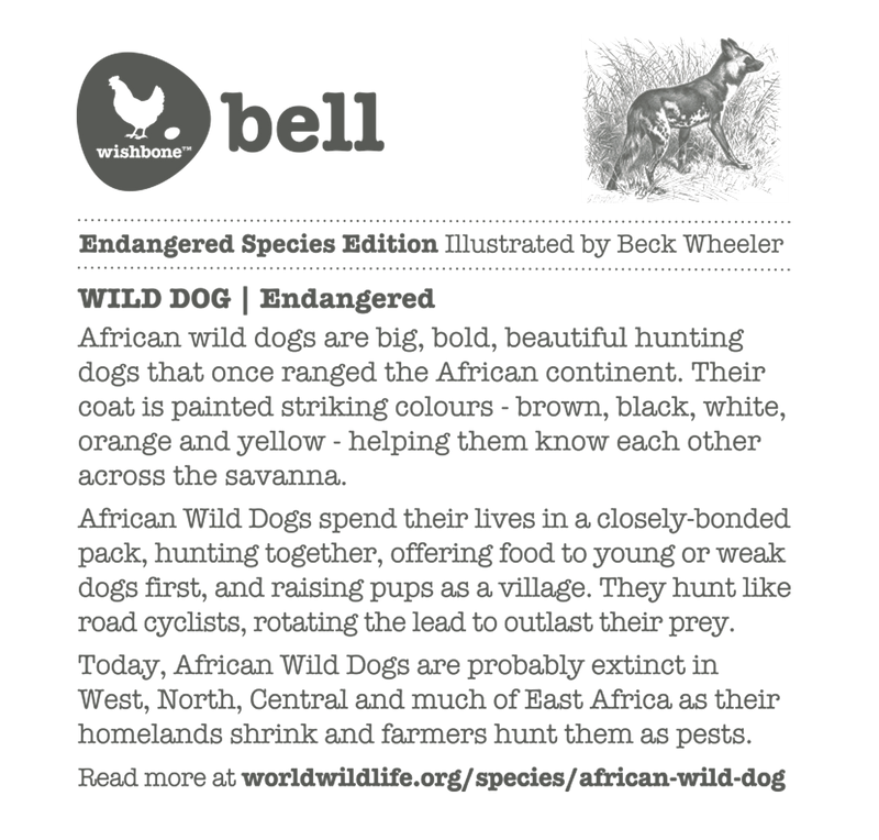 Interesting fact card on wild dogs